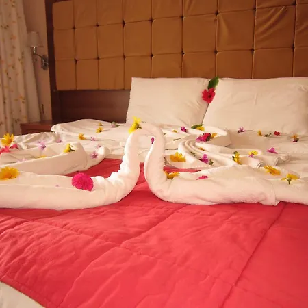 Elite Hotel 4*