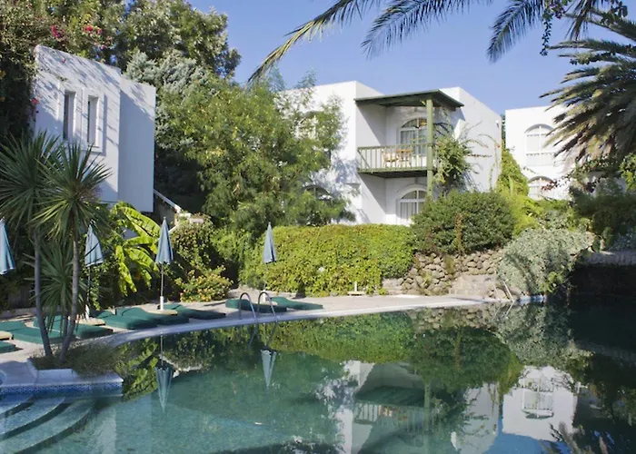 Hotel Elite 4*
